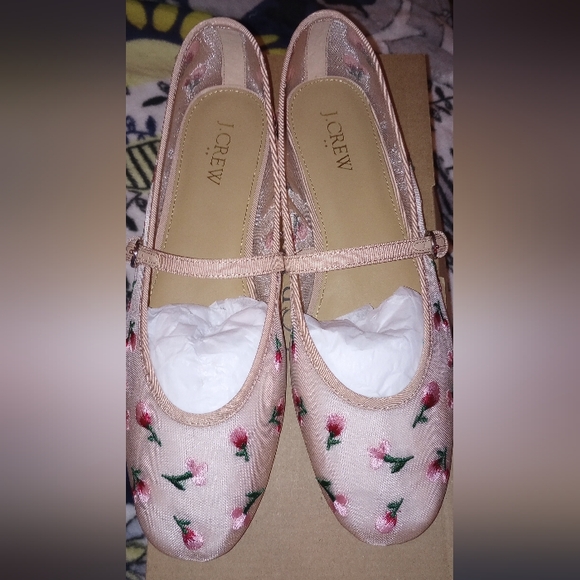 NWT J. Crew Mesh Embroidered Mary Jane Flats Blush 9 - Picture 3 of 8